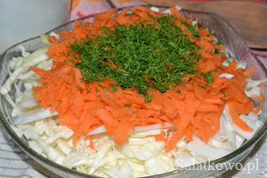 Saatka colesaw z koperkiem